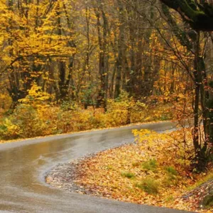 10 مقصد رویایی برای سفر پاییزی در ایران